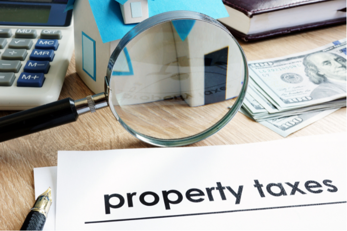 Explore our South Florida Property Tax Guide for homeowners.